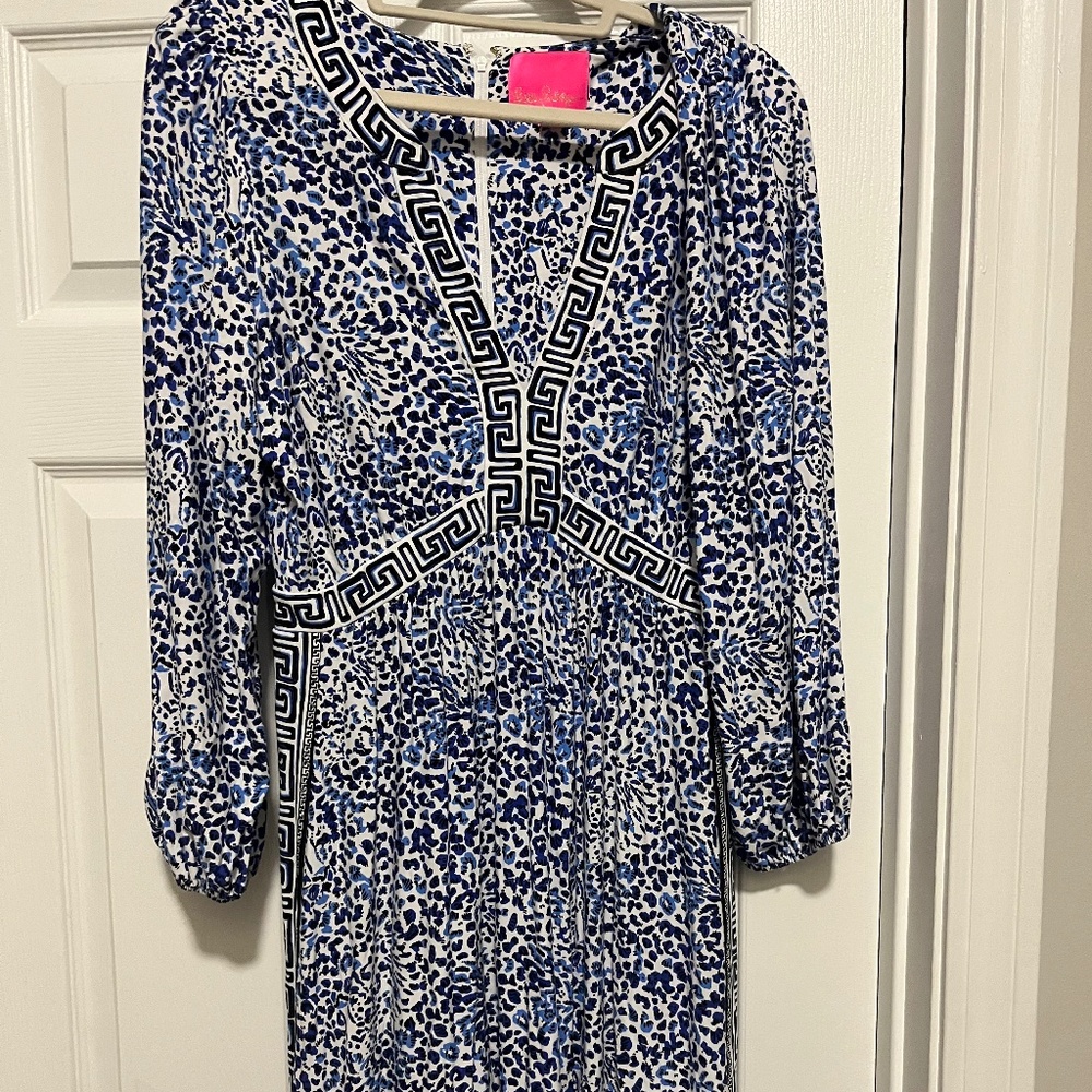 Unique Lilly Pulitzer Dress - make a statement!
